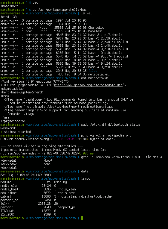 A Bash terminal session in a typical dark-themed emulator
