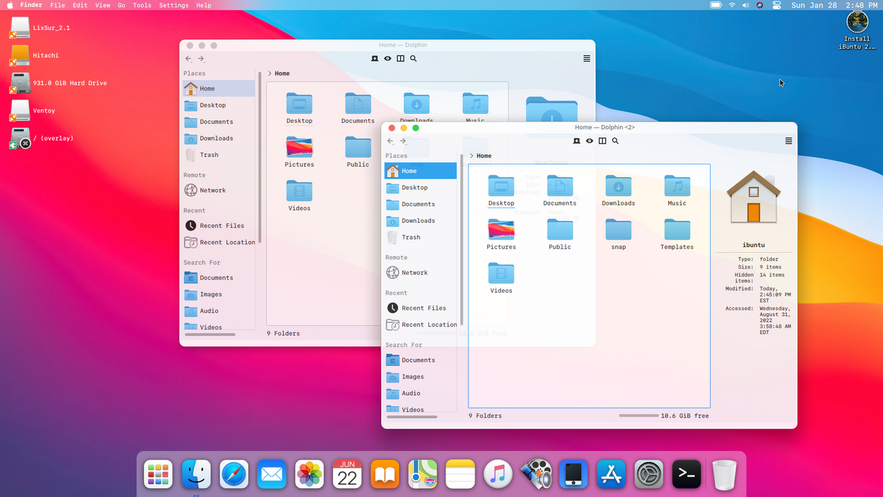 Dolphin screenshot