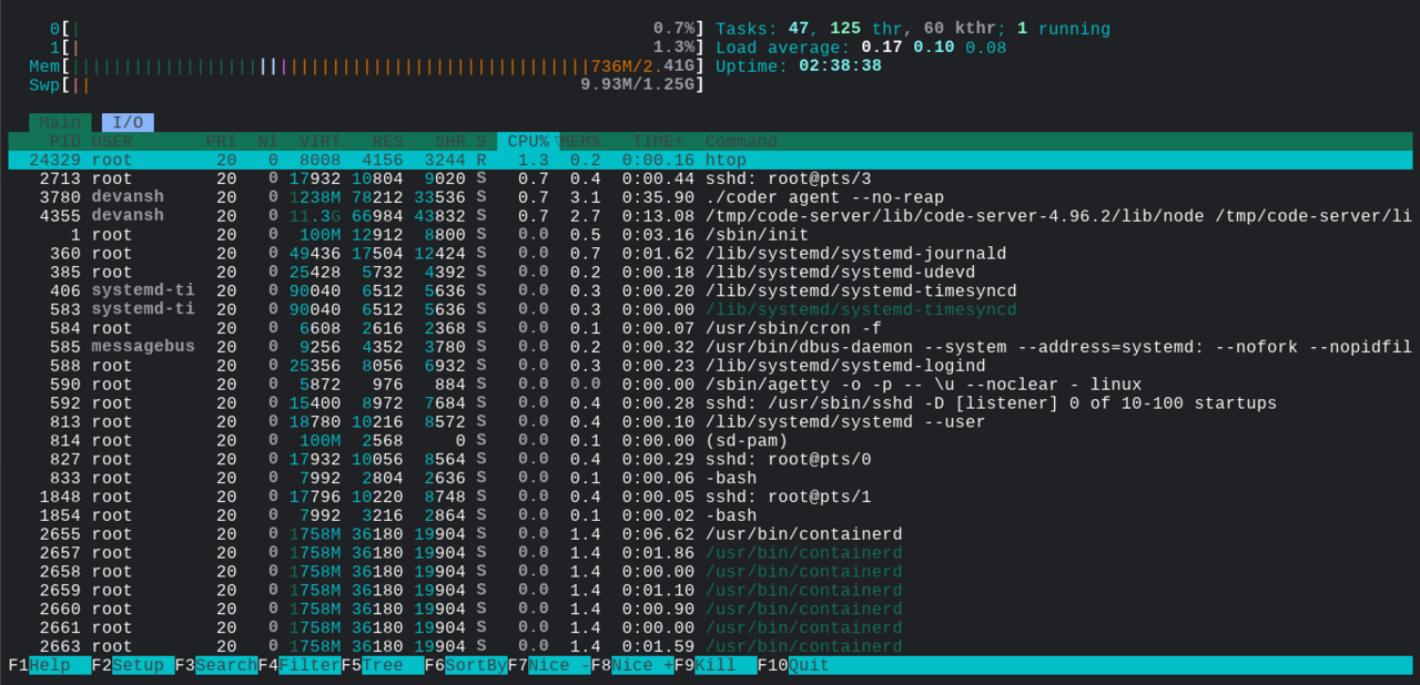 htop screenshot