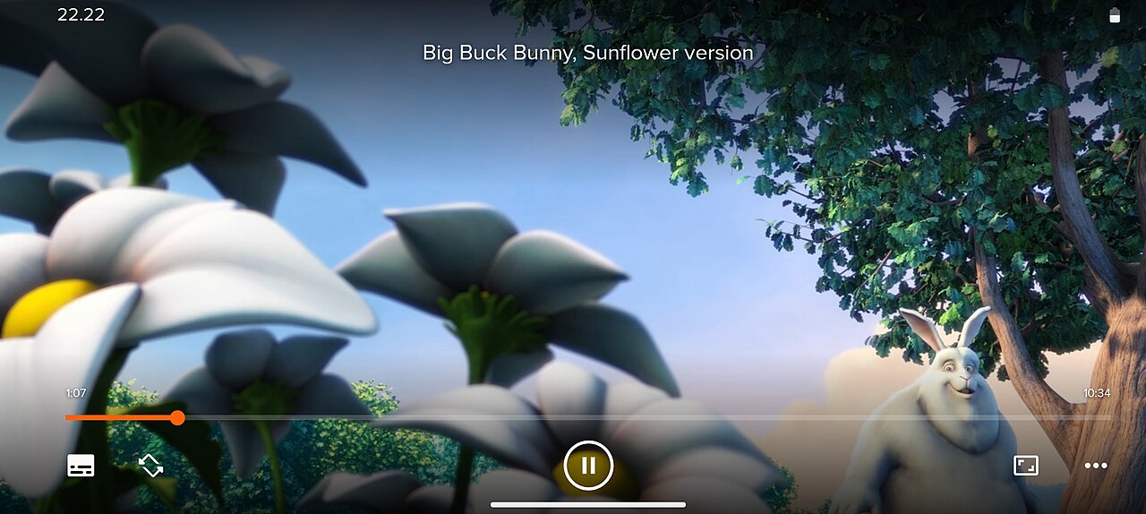 VLC media player screenshot